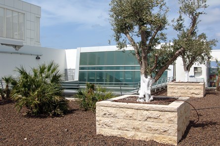 Intel Haifa (Foto: Intel Corporation)