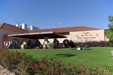 Golan Height Winery