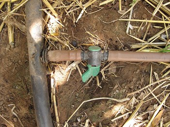 Drypvanding