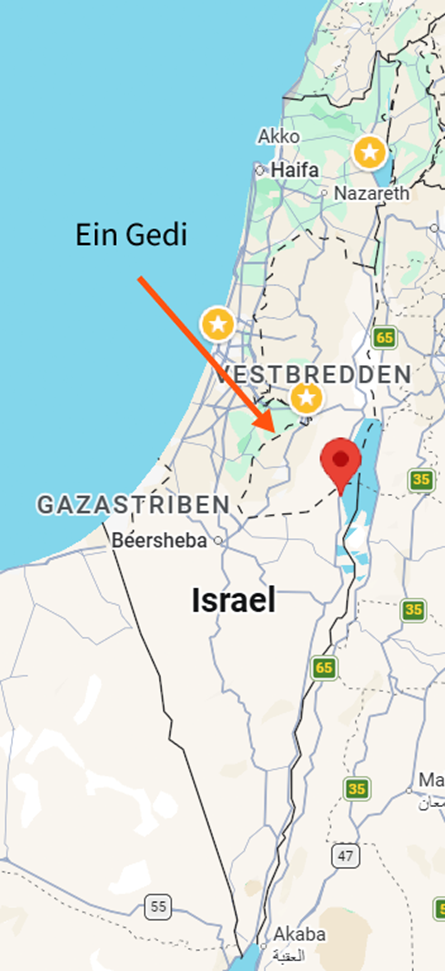 Ein Gedi