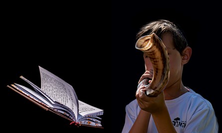 Shofar horn